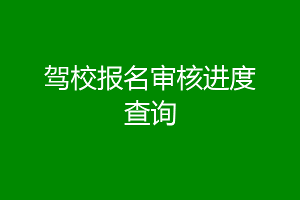 驾校报名审核进度查询