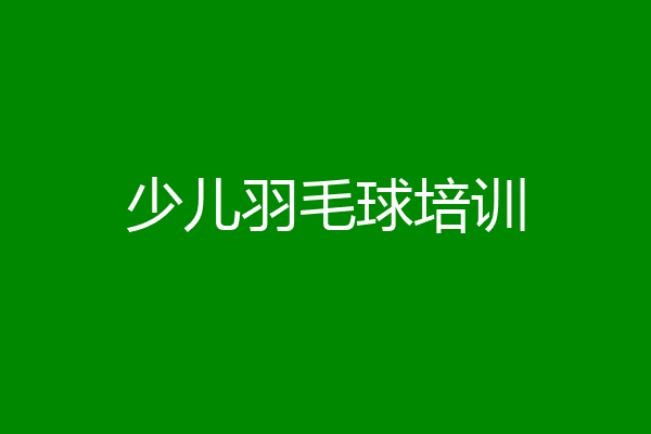 少儿羽毛球培训