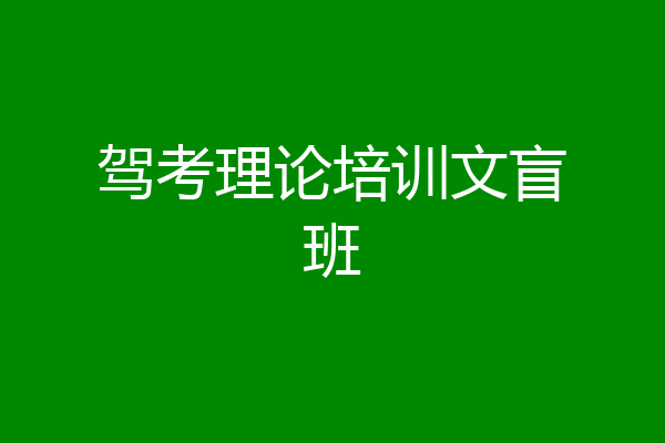 驾考理论培训文盲班
