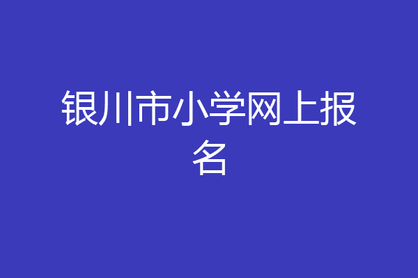 银川市小学网上报名