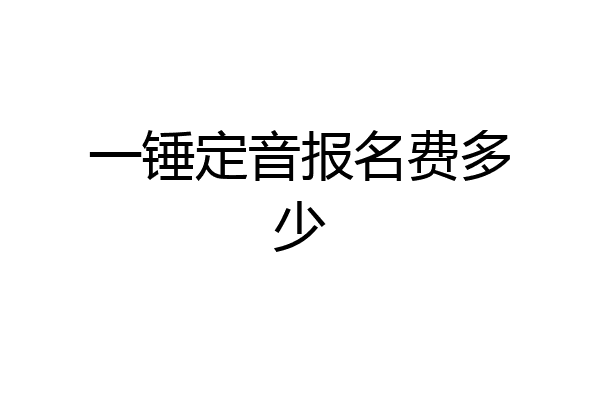 一锤定音报名费多少