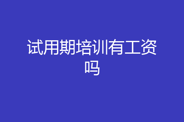 试用期培训有工资吗