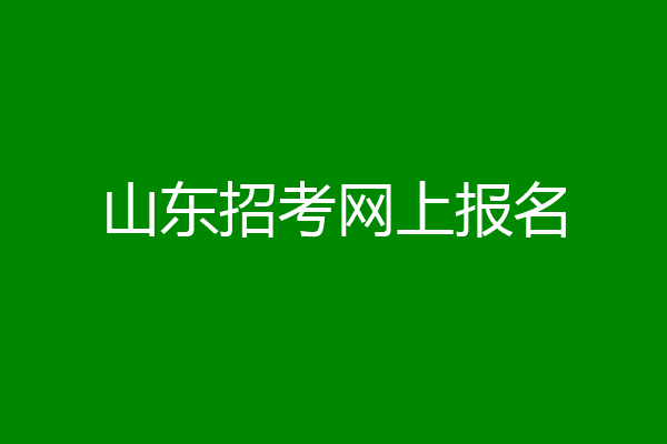 山东招考网上报名
