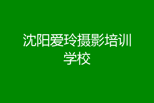 沈阳爱玲摄影培训学校