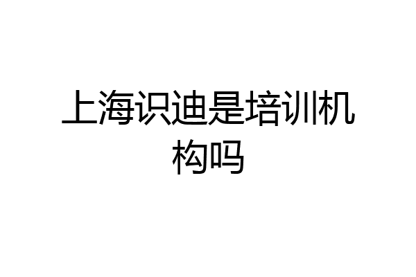 上海识迪是培训机构吗