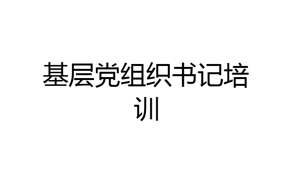 基层党组织书记培训