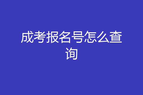 成考报名号怎么查询