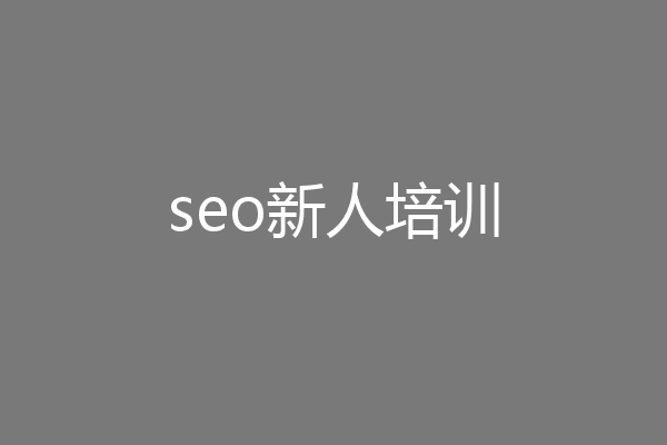 seo新人培训