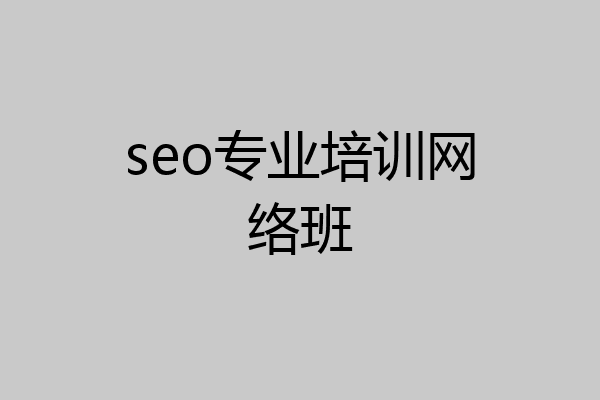 seo专业培训网络班