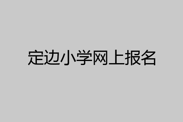 定边小学网上报名