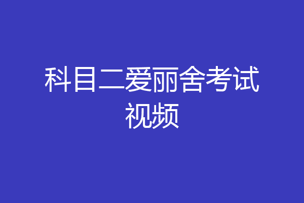 科目二爱丽舍考试视频