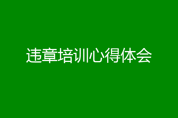 违章培训心得体会