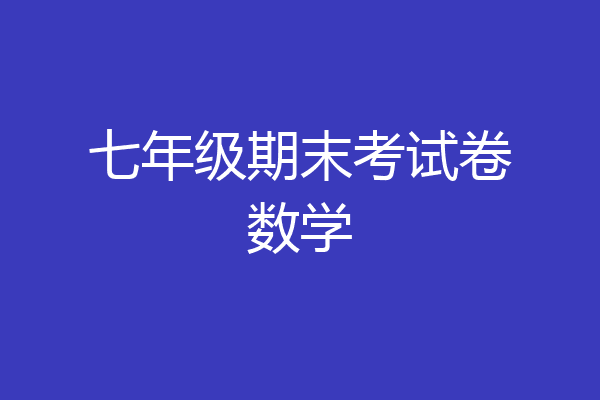 七年级期末考试卷数学