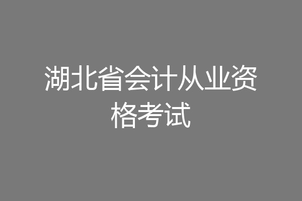 湖北省会计从业资格考试