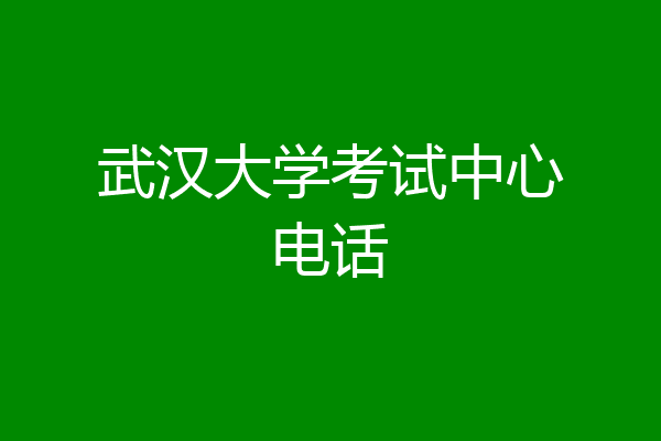 武汉大学考试中心电话
