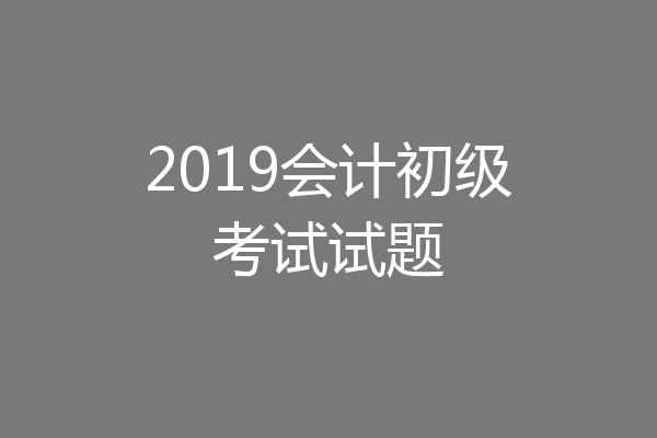 2019会计初级考试试题
