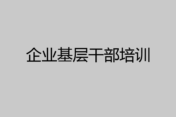 企业基层干部培训