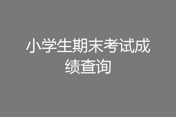 小学生期末考试成绩查询