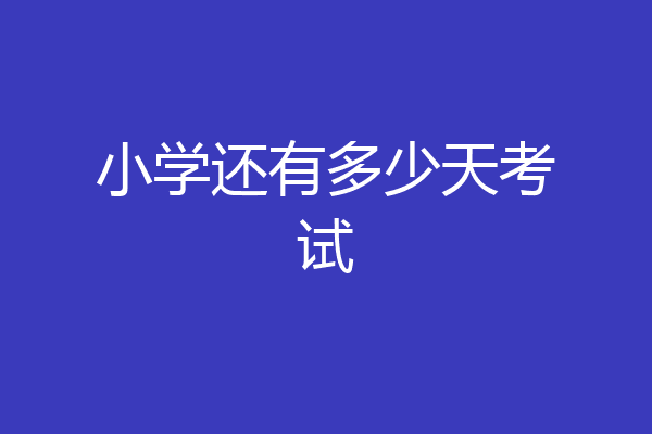 小学还有多少天考试