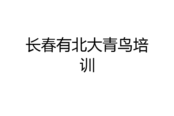 长春有北大青鸟培训