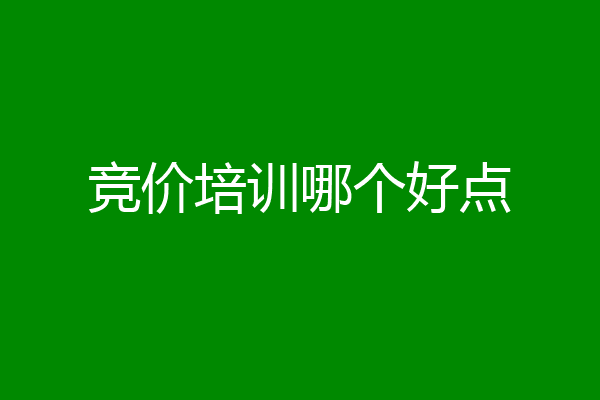 竞价培训哪个好点