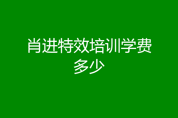 肖进特效培训学费多少