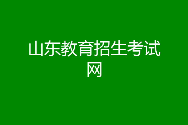山东教育招生考试网