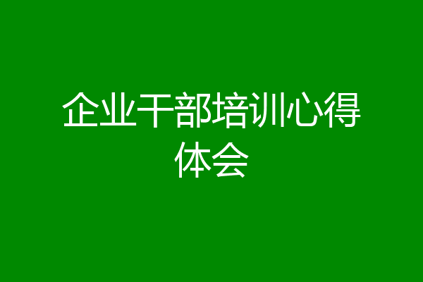 企业干部培训心得体会
