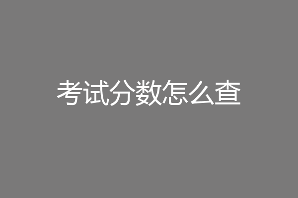 考试分数怎么查