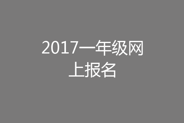 2017一年级网上报名