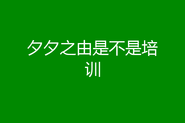 夕夕之由是不是培训