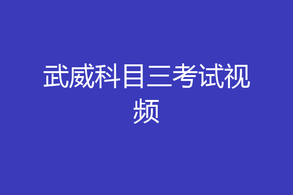 武威科目三考试视频