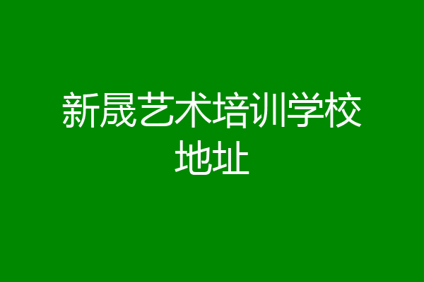 新晟艺术培训学校地址