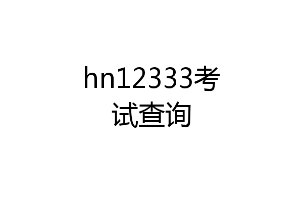 hn12333考试查询