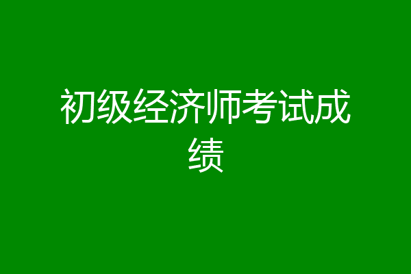初级经济师考试成绩