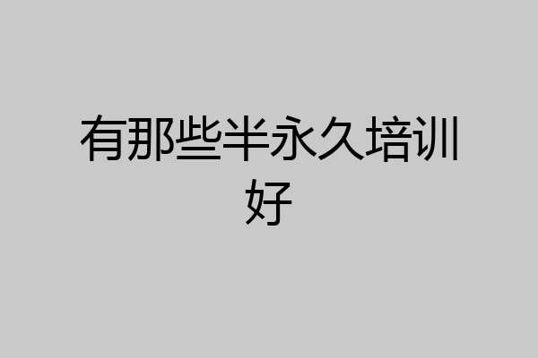 有那些半永久培训好
