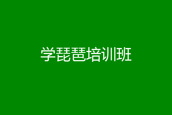 学琵琶培训班