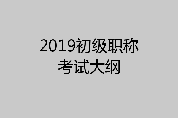 2019初级职称考试大纲