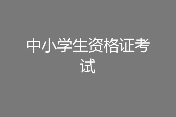 中小学生资格证考试