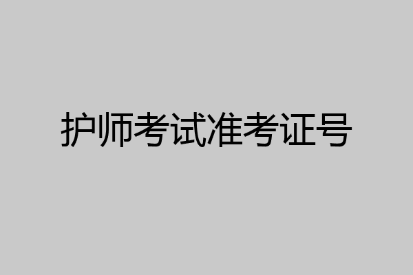 护师考试准考证号