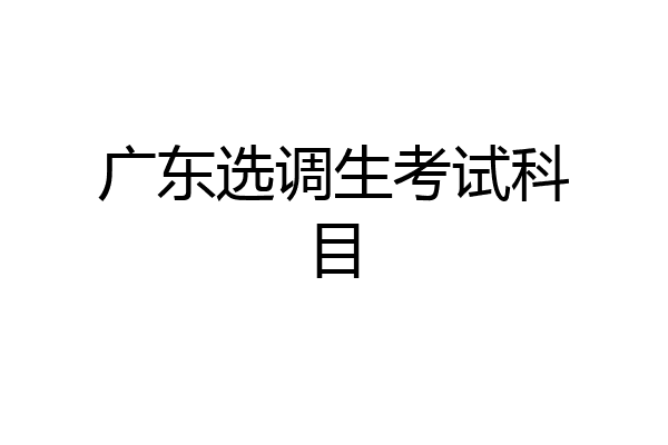 广东选调生考试科目