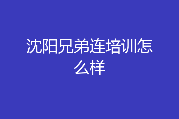 沈阳兄弟连培训怎么样