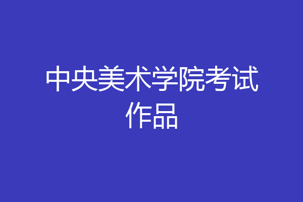中央美术学院考试作品