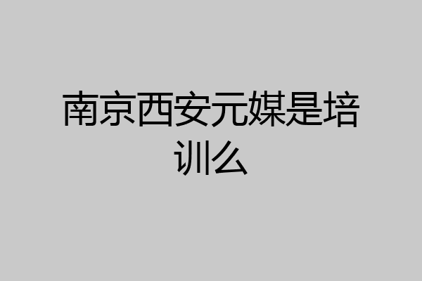 南京西安元媒是培训么