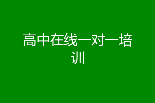 高中在线一对一培训