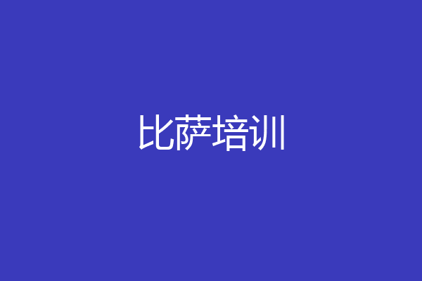 比萨培训