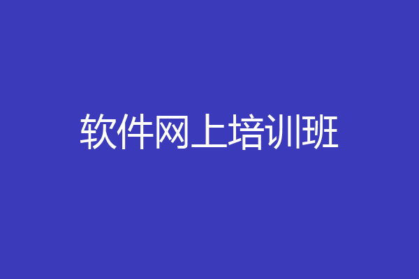 软件网上培训班