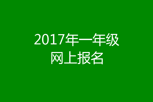 2017年一年级网上报名
