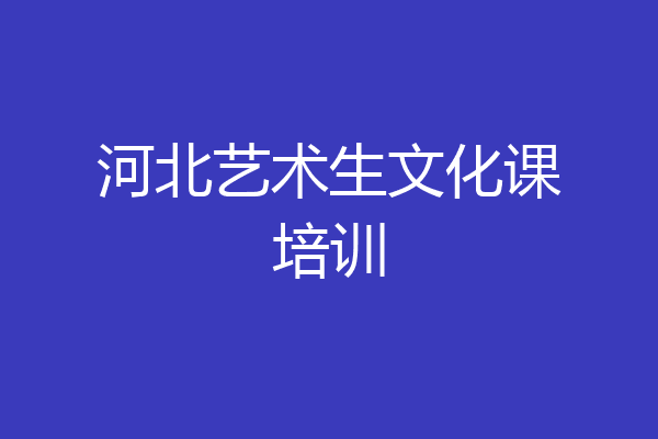 河北艺术生文化课培训