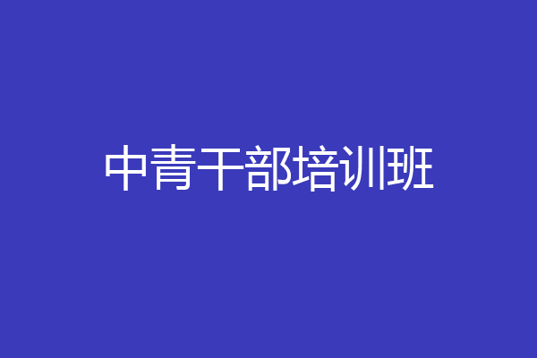 中青干部培训班